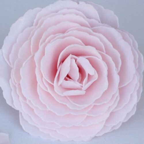 A'marie's Bath Flower Shop - Day in Paris Peony Bathing Petal Soap Flower