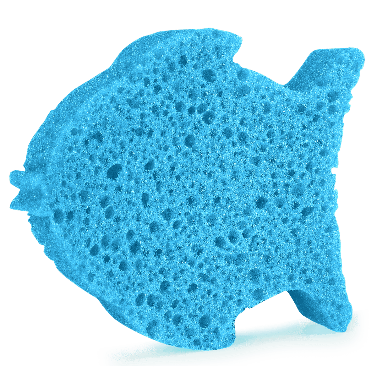 Spongellé - Fish Sponge – The Gilded Girl Beauty Emporium