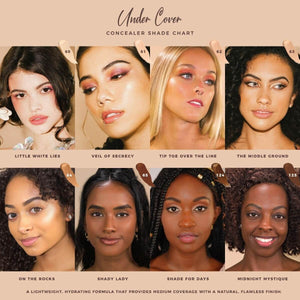 Pretty Vulgar - Under Cover Lightweight Concealer Color Chart